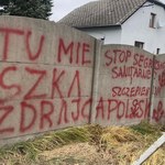 Zniszczone ogrodzenie domu posłanki KO. "Tu mieszka zdrajca Polski"
