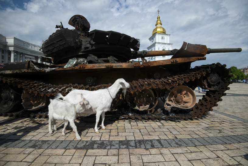 Zniszczone rosyjskie czołgi w Kijowie. Kpiny z agresora po 100 dniach wojny stały się już codziennością /Danylo Antoniuk/REPORTER /East News