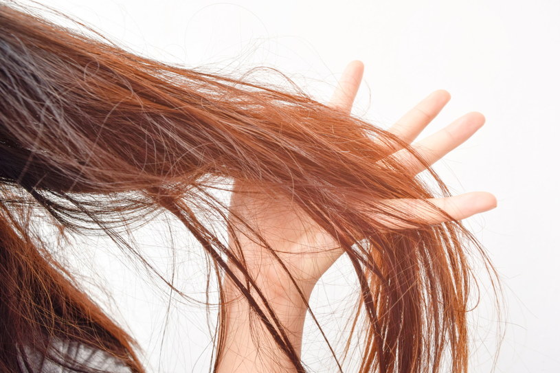 Zniszczone włosy to problem wielu kobiet /123RF/PICSEL