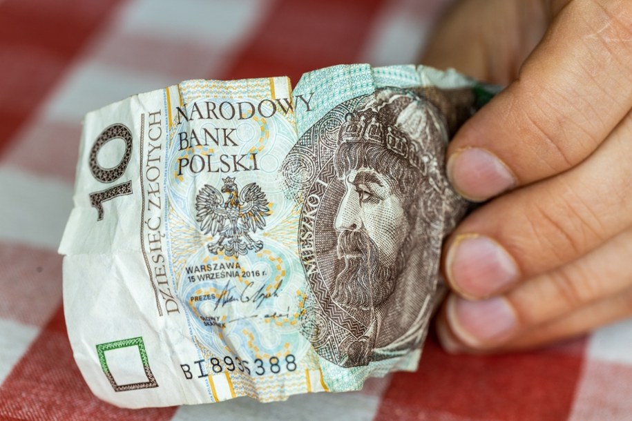 Zniszczony banknot (zdjęcie poglądowe) /Shutterstock