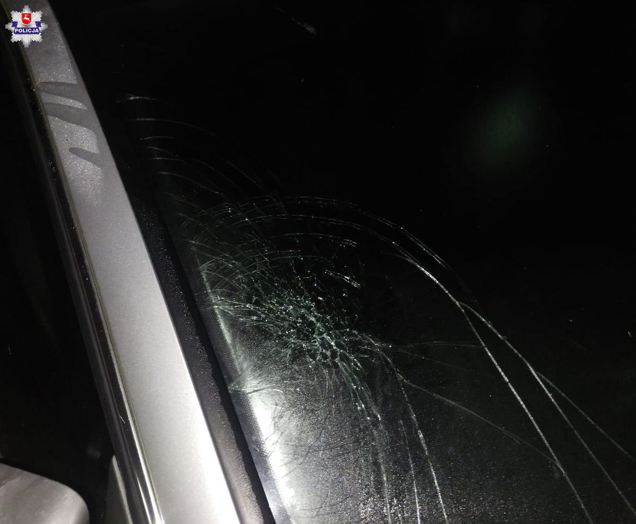Zniszczonych zostało siedem samochodów /Policja