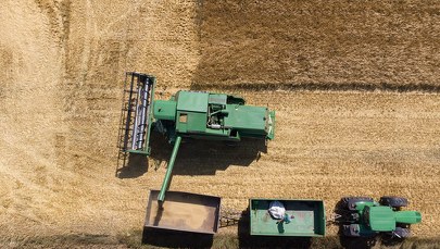 Żniwa ruszyły. "Problemem jest opłacalność tego, co na polu"