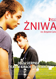 Żniwa