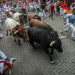 Znów chwycili byki za rogi. Nie wszystkim się poszczęściło