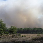 ​Znowu płoną lasy w Akwitanii. W sierpniu ogień dogaszali tam Polacy