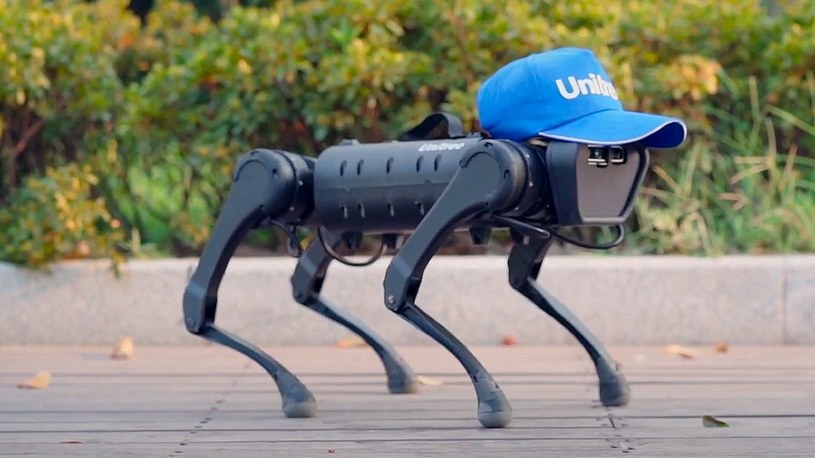 Zobacz, jak tańczy Unitree A1, czyli najnowszy robo-pies prosto z Chin [FILM] /Geekweek