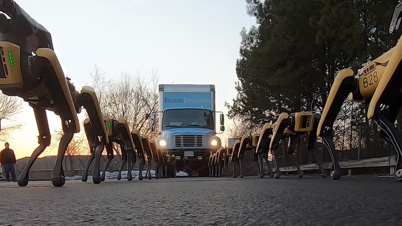 Zobacz, jak zaprzęg robo-psów SpotMini od Boston Dynamics ciągnie ciężarówkę /Geekweek