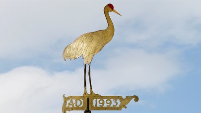 Zobacz z bliska odnowiony wiatrowskaz z dachu Żurawia gdańskiego