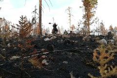 Zobacz zdjęcia polskich strażaków walczących z pożarami lasów w Szwecji