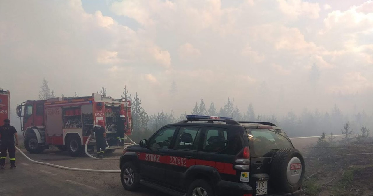 Zobacz zdjęcia polskich strażaków walczących z pożarami lasów w Szwecji