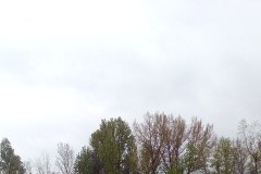 Zobacz zdjęcia z wypadku