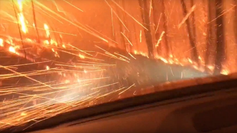 Zobaczcie film z szaleńczej ucieczki samochodem przez płonący las /Geekweek