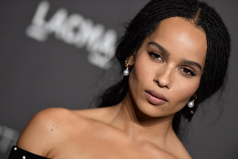 Zoe Kravitz na gali LACMA 2018 w Los Angeles / Axelle/Bauer-Griffin/FilmMagic /Getty Images
