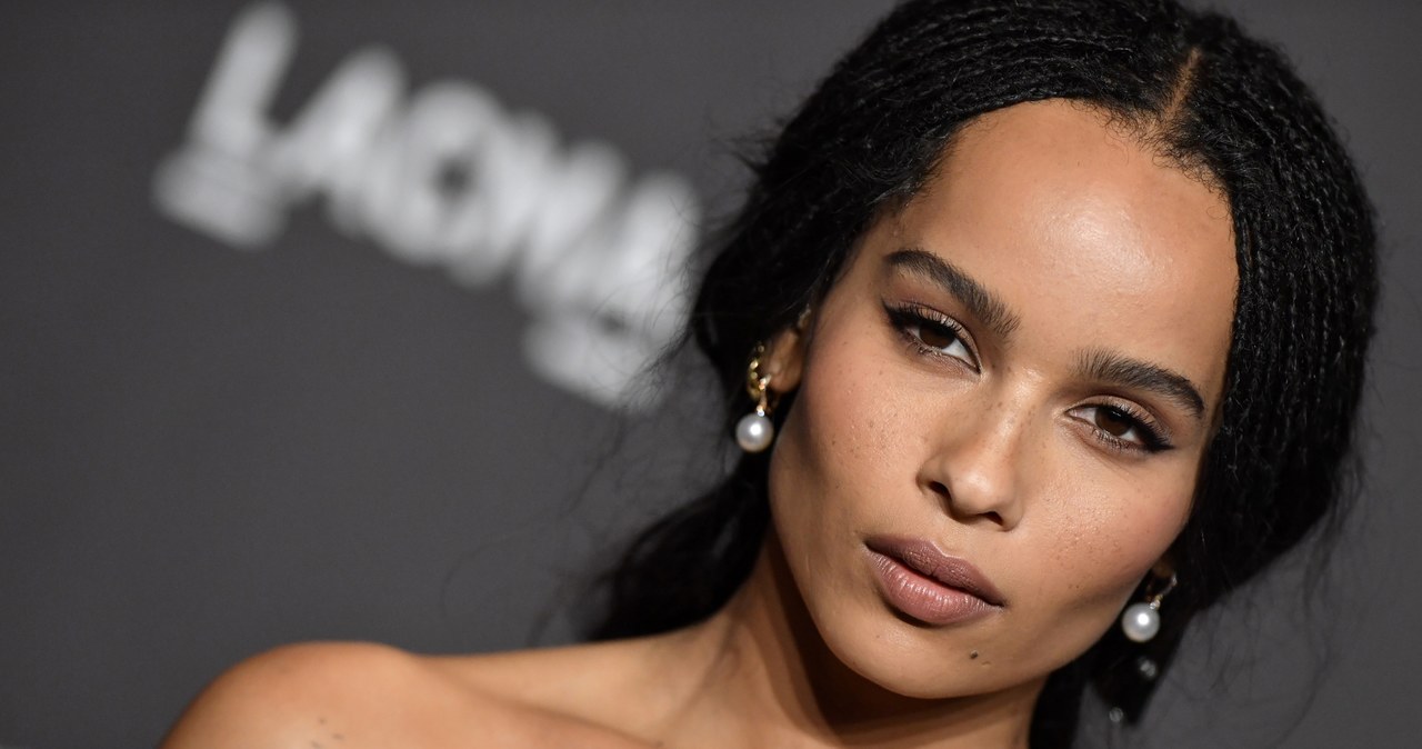 Zoe Kravitz na gali LACMA 2018 w Los Angeles / Axelle/Bauer-Griffin/FilmMagic /Getty Images