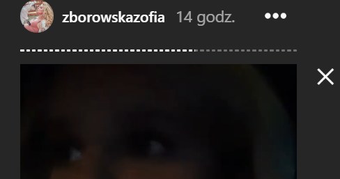 Zofia Zborowska-Wrona zabrała głos na InstaStory /Instagram