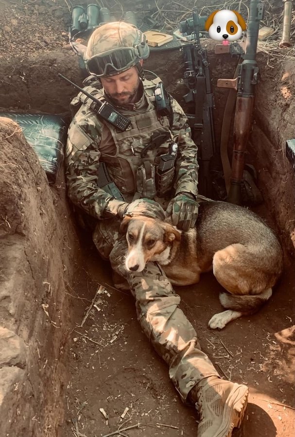 Żołnierze na froncie dbają o różne gatunki zwierząt, pamiętając o nich w trudnych czasach wojny /@LBeikul /Twitter
