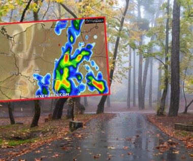 Żółto w trzech województwach: Uwaga na burze i ulewy