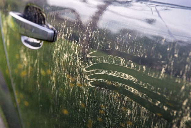 Żółty pył jest koszmarem dla kierowców /Shutterstock