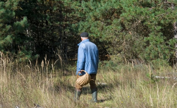 ​Żona nie żyje, mąż leży w szpitalu. Jedli "białe grzyby z łąki"