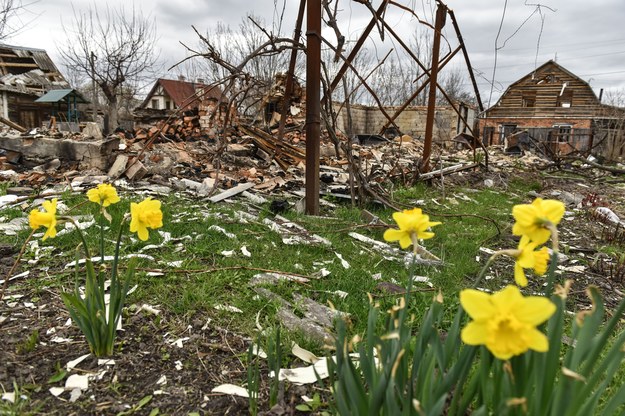 Żonkile – symbol wiosny – a za nimi zniszczony dom we wsi niedaleko Kijowa. /OLEG PETRASYUK /PAP/EPA