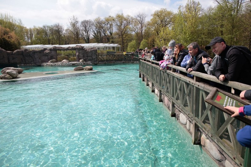 Wolny ogród zoologiczny bar