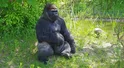 Zoo w Warszawie ma powody do radości.