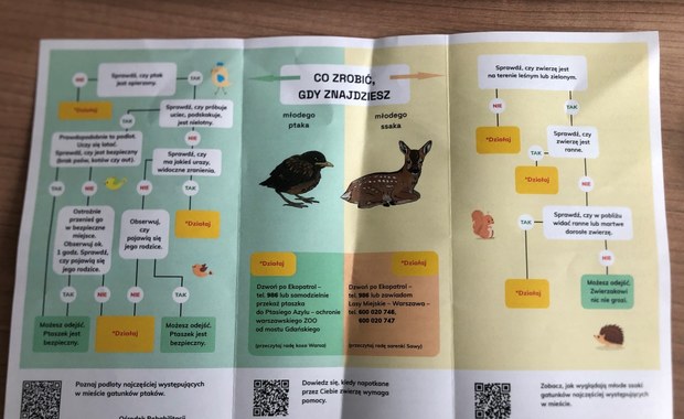 ZOOstaw, NIE porywaj! Warszawskie ZOO z nową kampanią