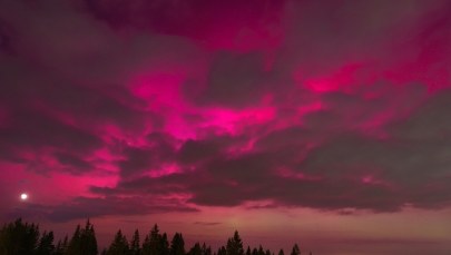 Zorza polarna nad Polską. Spektakularne zdjęcia i filmy