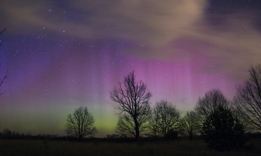 Zorza polarna widoczna na niebie okolicach Puszczy Kampinoskiej /Karol Wójcicki/Centrum Nauki Kopernik  /PAP