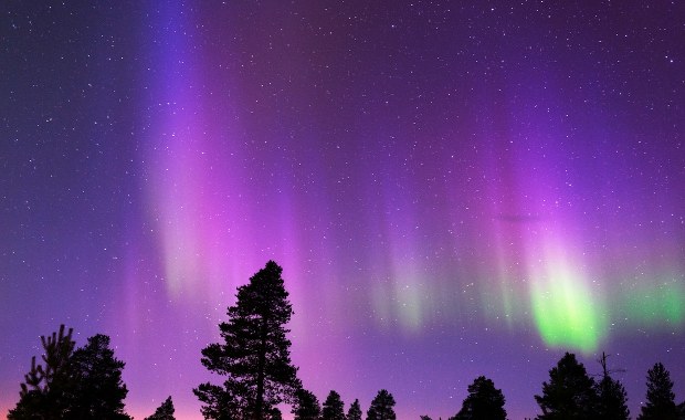 Zorza w Polsce. Dzisiaj ma być dobrze widoczna