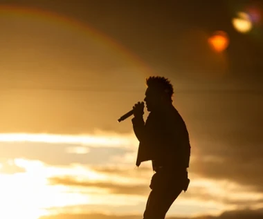 Zostali owacyjnie przyjęci w Polsce. Papa Roach wracają do naszego kraju