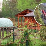 rodzinne ogrody działkowe Zostali przyłapani na gorącym uczynku. Za coś takiego można stracić działkę