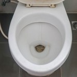 Zostawiasz otwartą toaletę w łazience? Nic dziwnego, że przyciągasz nieszczęścia i klepiesz biedę