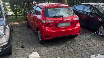 Zostawiła psa w nagrzanym aucie i poszła na plażę. Uratowali go policjanci