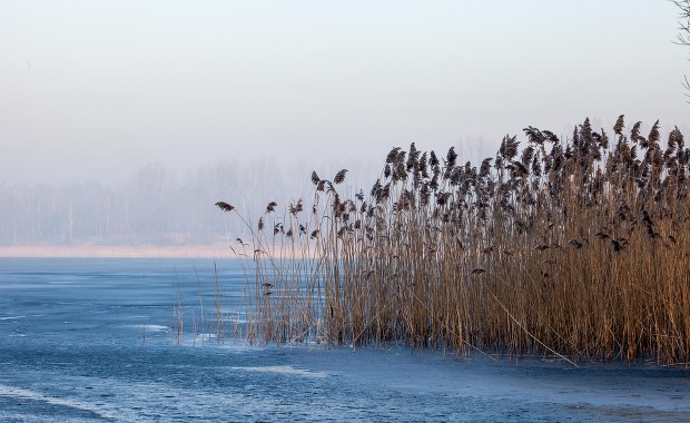 Zostawili na plaży swoje rzeczy, postawili na nogi służby. Okazało się, że...