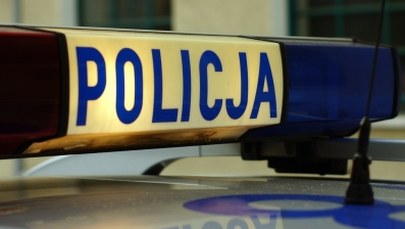 Zostawili psy bez opieki. Teraz grożą im zarzuty