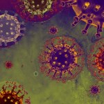 Zrekonstruowali genom najstarszego na świecie ludzkiego wirusa RNA