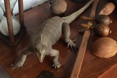 Zrekonstruowany gabinet pisarza Alfreda Szklarskiego