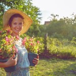 Zrób jedną rzecz, nim cokolwiek posadzisz w ogrodzie. Niezbędna dla plonów i kwitnienia