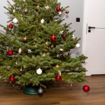 Zrób to, nim wniesiesz choinkę do domu. Dzięki temu postoi znacznie dłużej