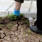 Zrób to w ogrodzie we wrześniu. Wiosną nie zobaczysz chwastów