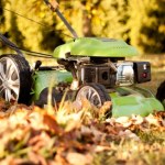 Zrób to z trawnikiem przed zimą. Inaczej wiosną zieleń będzie marna