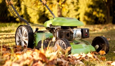 Zrób to z trawnikiem przed zimą. Inaczej wiosną zieleń będzie marna