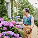 Zrób to z ziemią, nim zasadzisz hortensje. Szybko sobie podziękujesz