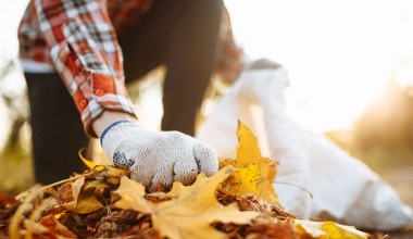 Zrób to ze spadającymi liśćmi. Rośliny ogrodowe ci podziękują 