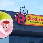 Zrób wrażenie na gościach. Nowa kolekcja porcelany w Biedronce zachwyca!