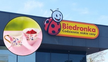 Zrób wrażenie na gościach. Nowa kolekcja porcelany w Biedronce zachwyca!