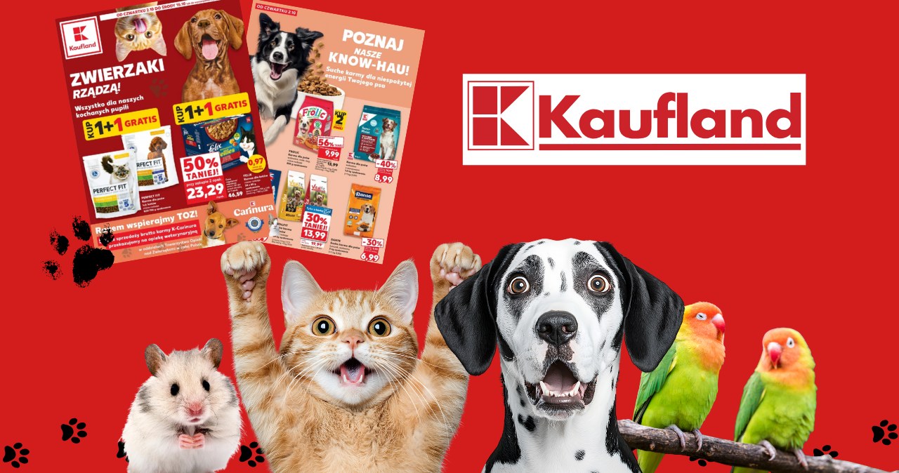 Zrób zapasy dla pupila! 1+1 gratis i -50% na karmy i przysmaki w Kauflandzie /Canva Pro /INTERIA.PL
