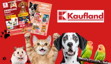 Zrób zapasy dla pupila! 1+1 gratis i -50% na karmy i przysmaki w Kauflandzie