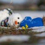 wiosna Zrobi się wiosennie, na termometrach nawet 15 stopni. Najnowsza prognoza IMGW